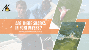 are there sharks in fort myers