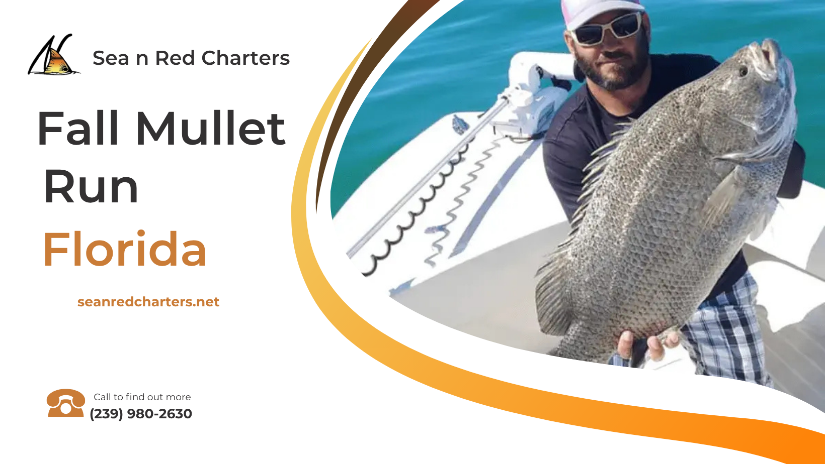 The Fall Mullet Run in Southwest Florida Explained