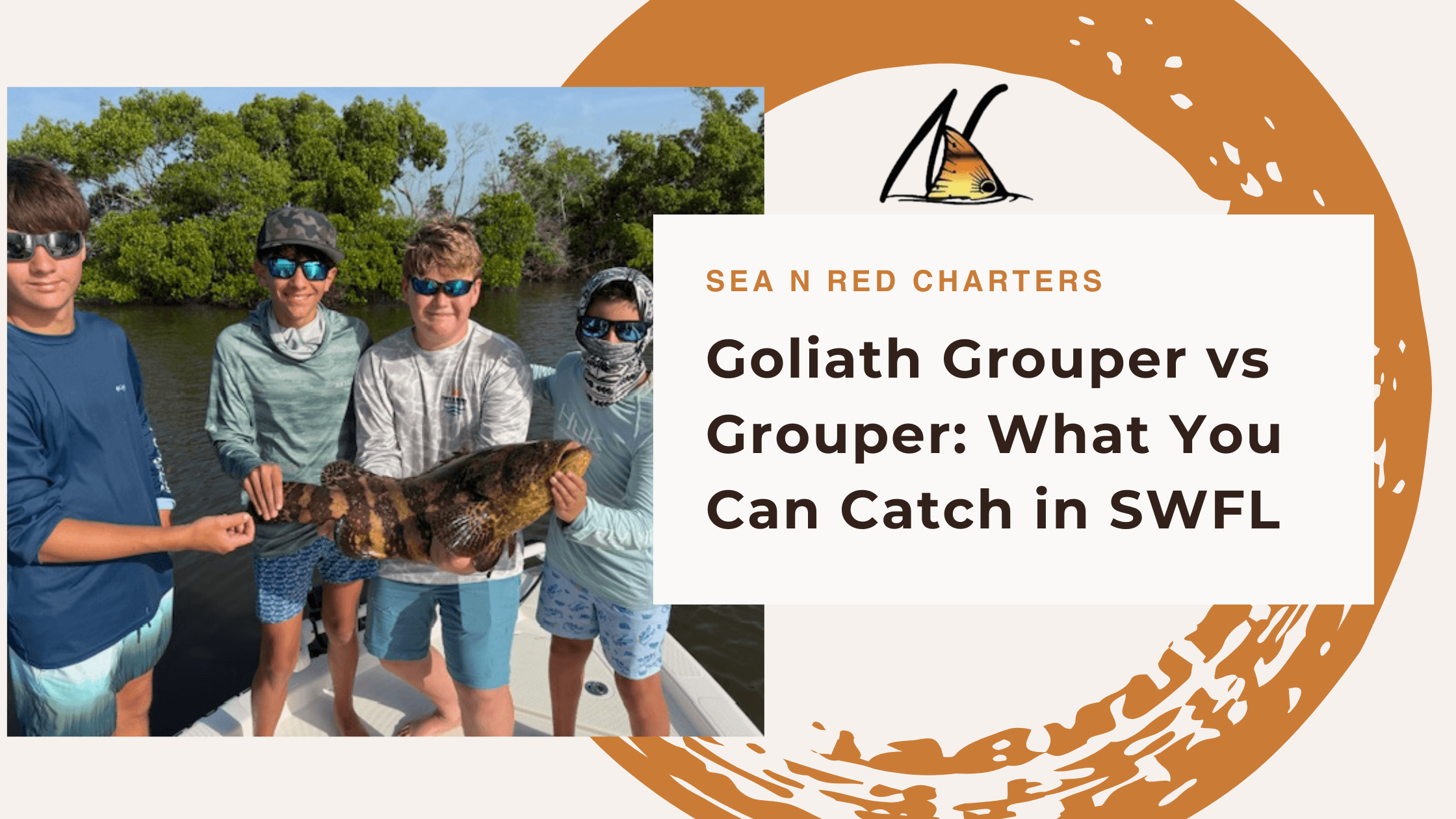 Goliath Grouper vs Grouper: What You Can Catch in SWFL